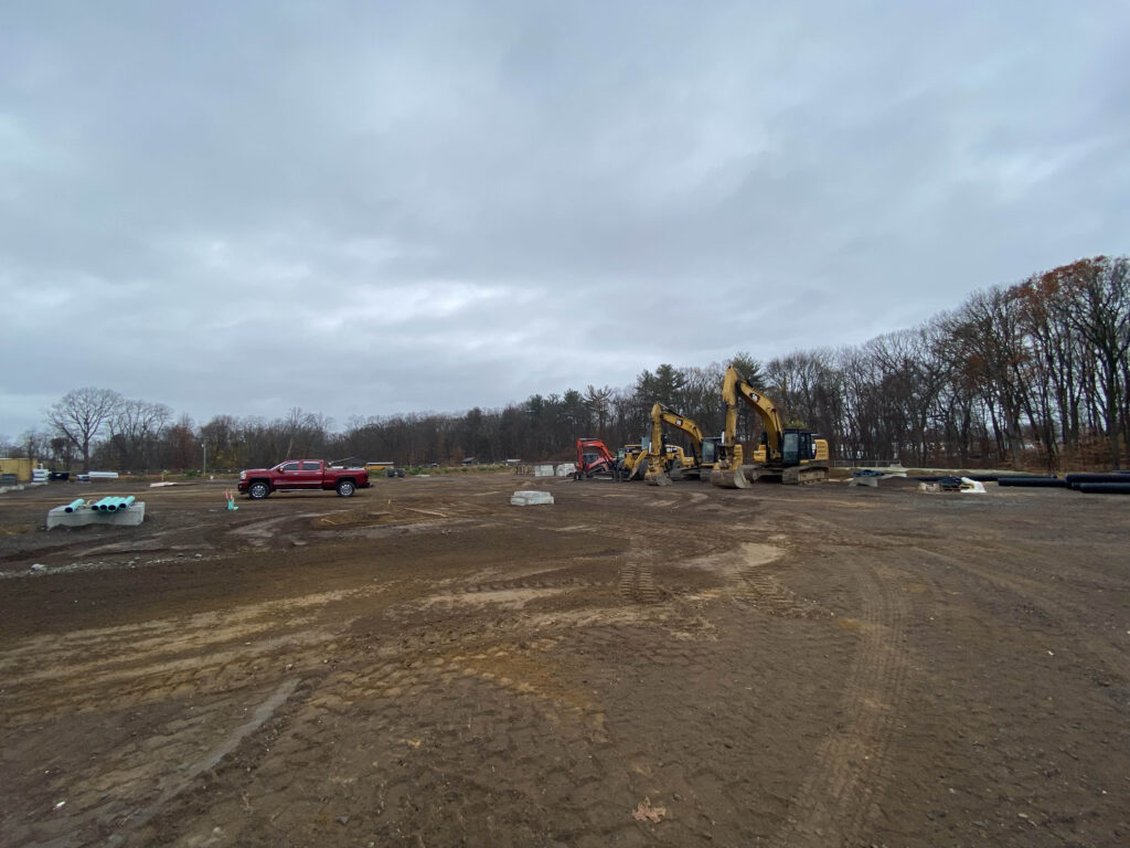 Excavation crew clearing overgrown land for future building development project