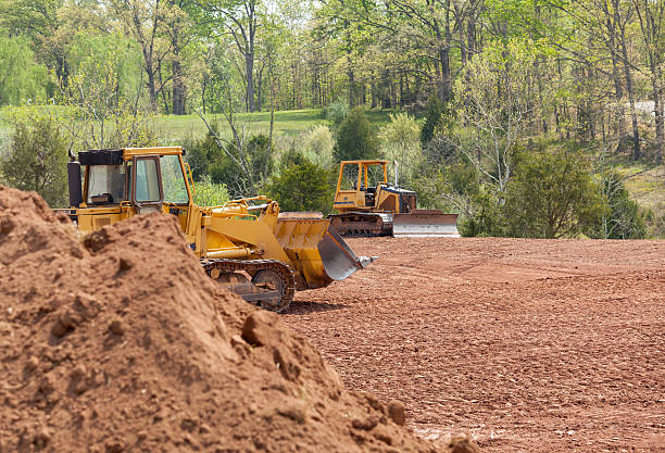 Land clearing crew preparing Wellington site for construction project