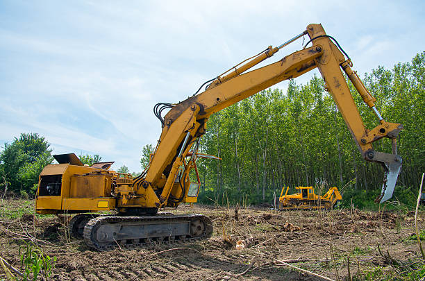 Heavy machinery removing trees and debris in Wellington land clearing