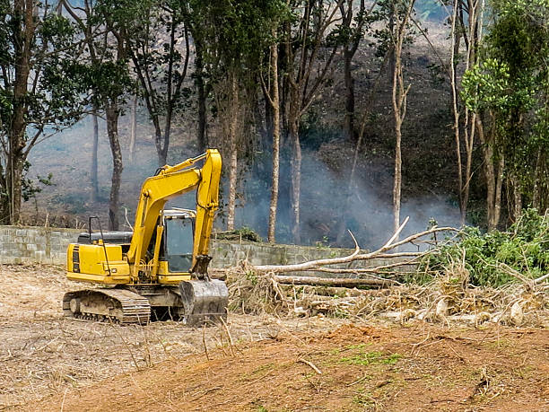 Land clearing equipment removing trees from large property