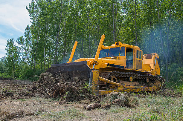 Sadow Excavation & Grading performing expert land clearing for projects