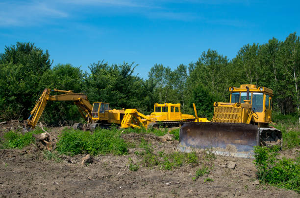 Land clearing and excavation services by Sadow Excavation professionals