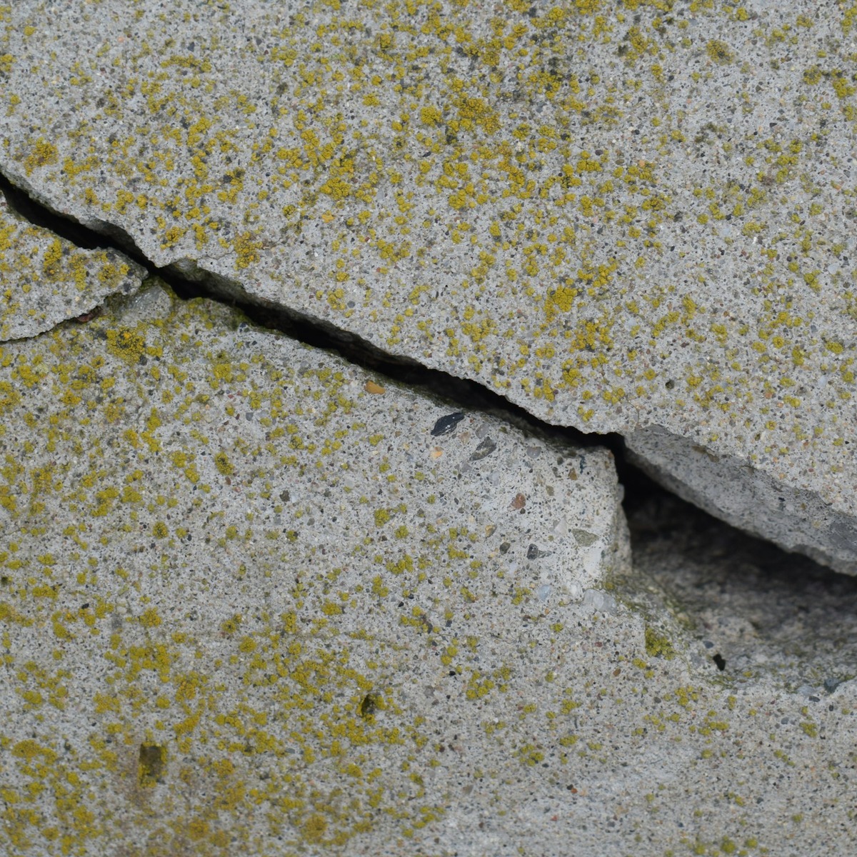 Close-up of a wide crack in a concrete foundation surface, showing visible deterioration requiring foundation repair services near me.